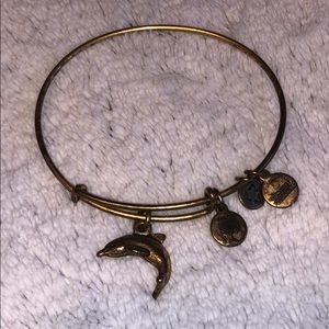 Alex and Ani dolphin bracelet